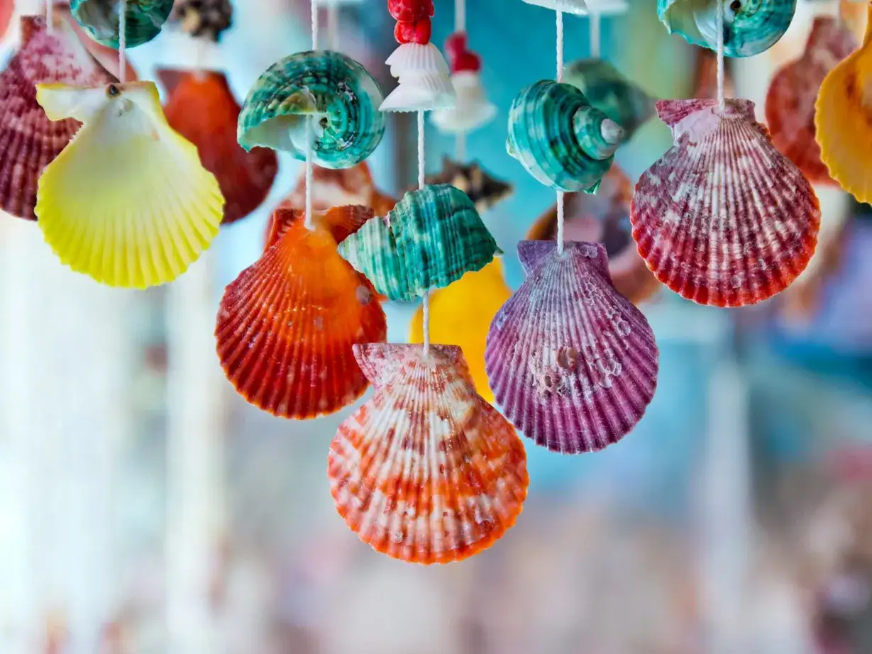 Bunte Muscheln, aufgeh&auml;ngt wie ein Mobile, erinnern an sommerliches Basteln am Meer.
